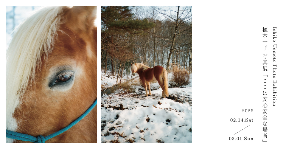 bookshop and gallery ON READING